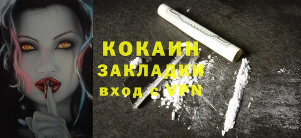 прущие грибы Абинск