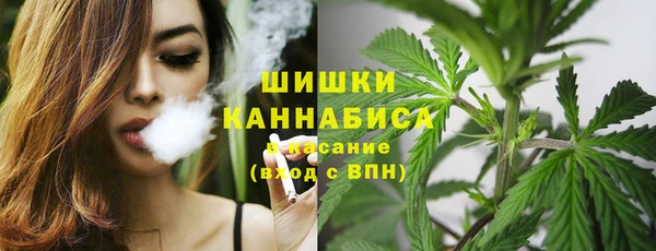 прущие грибы Абинск