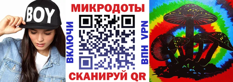Галлюциногенные грибы Psilocybine cubensis  Вилючинск 