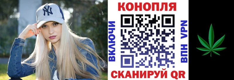 купить наркотики сайты  гидра вход  Конопля Bruce Banner  Вилючинск 